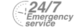 24/7 Emergency Service Pest Control in Elm Park, RM12. Call Now! 020 8166 9746