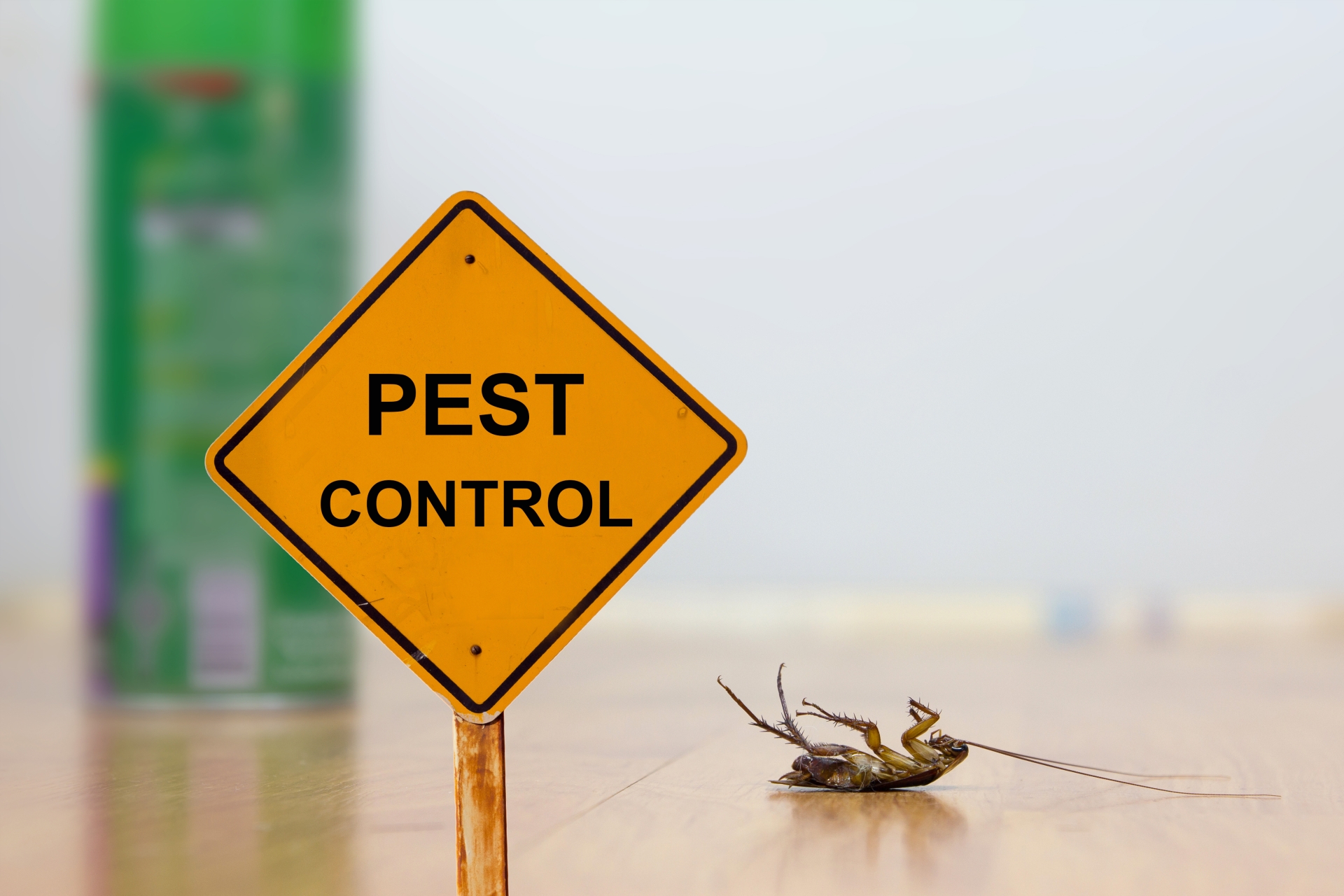 24 Hour Pest Control, Pest Control in Elm Park, RM12. Call Now 020 8166 9746